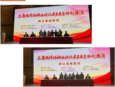 上海種業(yè)科技成果路演交易簽約 為種業(yè)高質量發(fā)展注入新動能